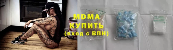 сатива Беломорск