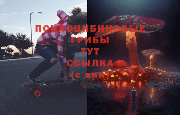 мяу мяу мука Ростов