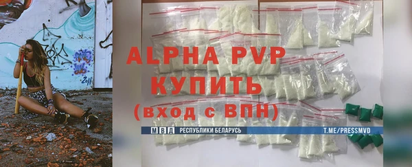 сатива Беломорск