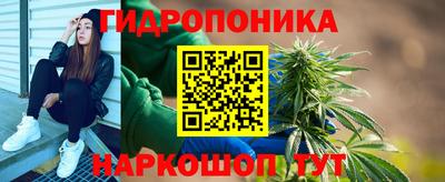 сатива Краснокаменск