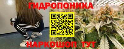 сатива Краснокаменск
