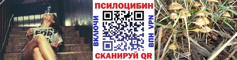 Галлюциногенные грибы MAGIC MUSHROOMS  наркотики  Кстово 