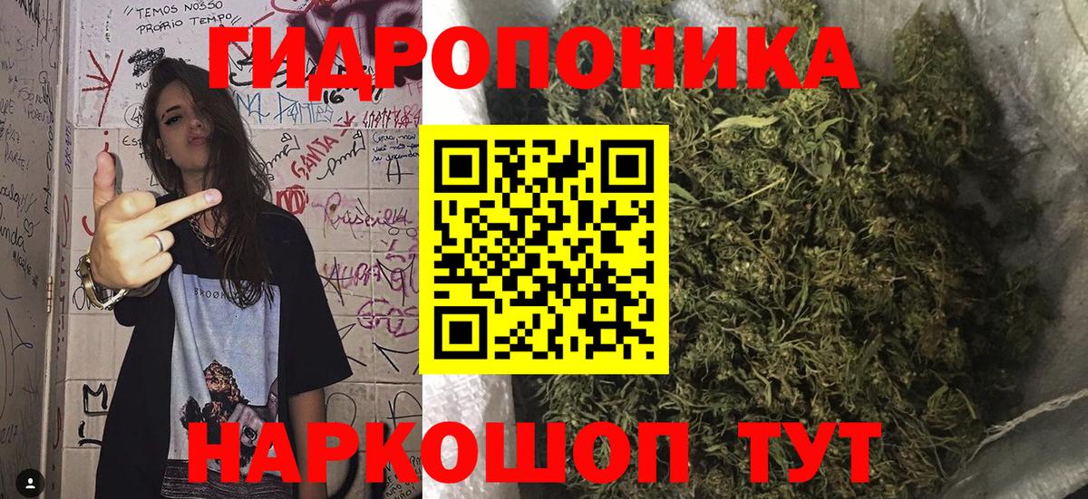 Марихуана Bruce Banner Кстово